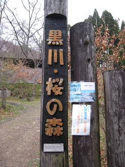 うまい！を明日へ　黒川桜.JPG