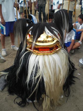 獅子.JPG