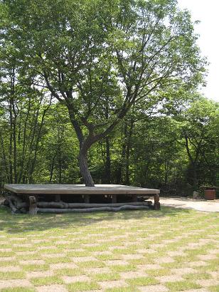 三木山森林公園6.JPG