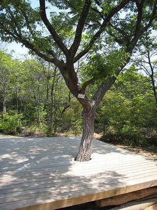 三木山森林公園7.JPG