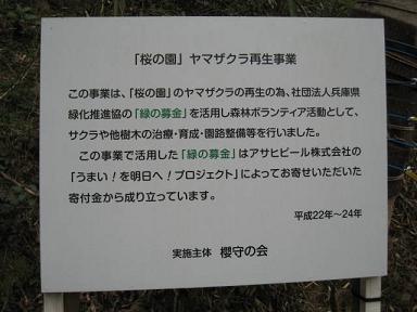 宝塚　桜の園３.JPG