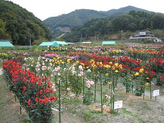 川西市黒川02.JPG