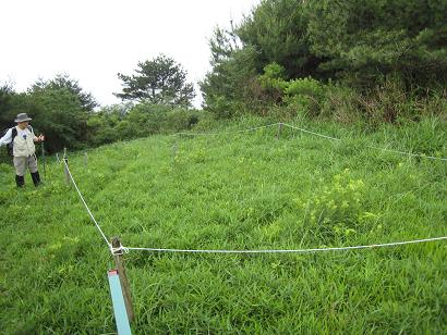 東お多福山草原保全　うまいを明日へ3.JPG