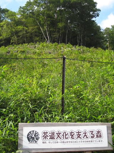 茶道文化を支える森　川西黒川２.JPG