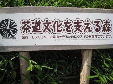 茶道文化を支える森　川西黒川.JPG