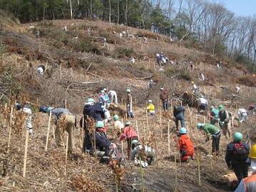 茶道文化を支える森　２０１０年の時ボランティア様子.JPG